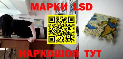 Альфа ПВП Нальчик