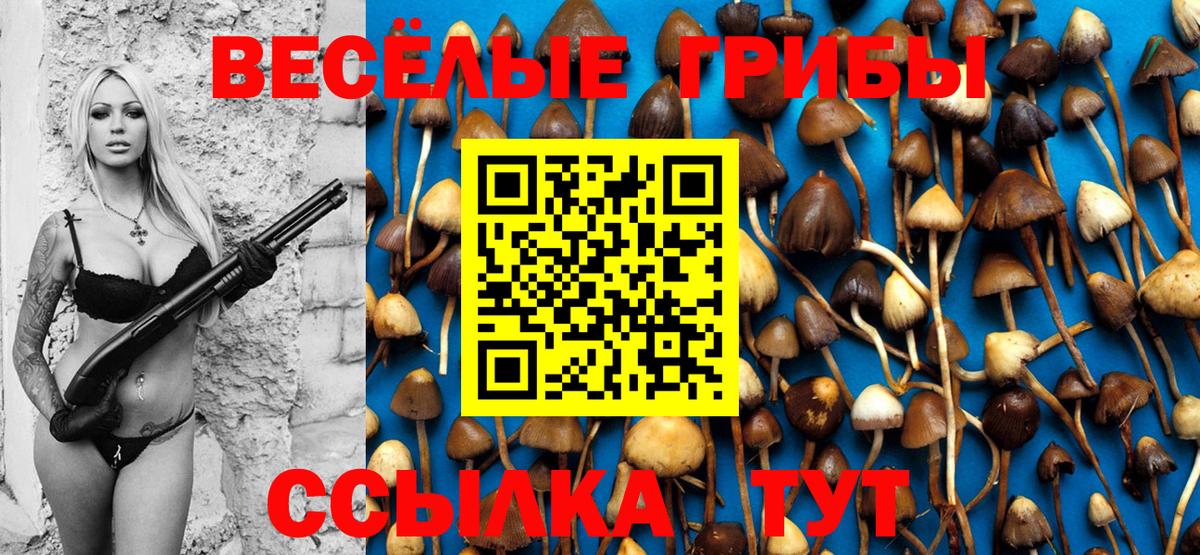 Псилоцибиновые грибы прущие грибы  Вход с VPN  закладка  Волоколамск 
