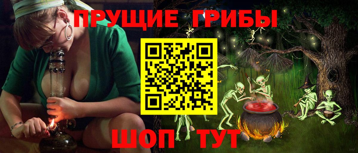 Псилоцибиновые грибы Psilocybine cubensis Волоколамск